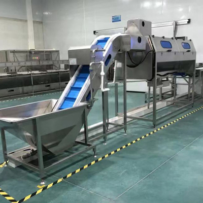 Customize French Fries Production Line 60 Units Per Year Output for 2-3mm Banana Chips Thickness