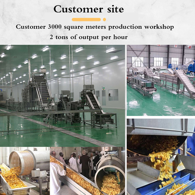 French Fries Size 7-20mm Frozen Fries Production Line with High Quality Material
