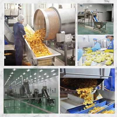 10m*2m*2m and Customizable Frozen Fries Production Line for French Fries