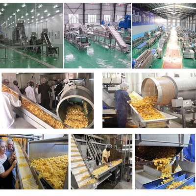 10m*2m*2m and Customizable Frozen Fries Production Line for French Fries