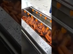 Radish washing machine, vegetable washing and peeling machine