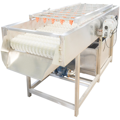 Parallel Roller Seafood 800kg Fruit And Vegetable Washer Machine