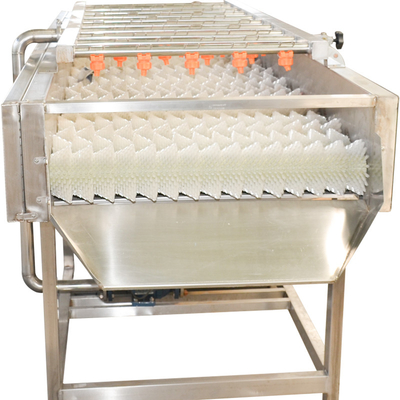 Stainless Steel 220v Jujube Fruit Vegetable Washing Machine