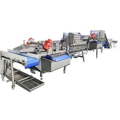 Diced Cleaning 1700kg/H Vegetable And Fruit Washing Machine