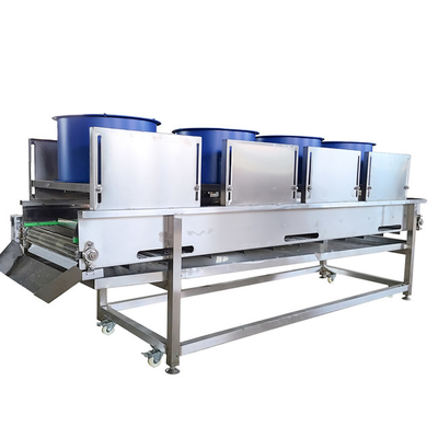 1t/H Onion Fruit And Vegetable Dehydration Machine Low Consumption