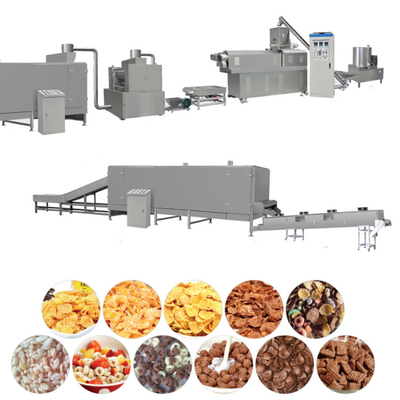 160kw Fruit Vegetable Drying Machine Snacks Making Machine 260kg/H
