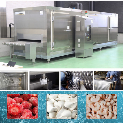 Continuous Tunnel French Fries Seafood Freezer Arc Welding