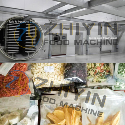 100kg/H Fruit Vegetable Drying Machine Vacuum Freeze Drying Equipment