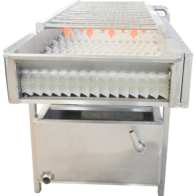 Parallel Roller Seafood 800kg Fruit And Vegetable Washer Machine