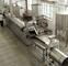 Diesel 800kg/H 900kg/H SUS304 Fully Automatic French Fries Production Line