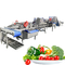 Diced Onions 2000kg/H Fruit Vegetable Washing Machine