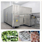 500kg/H Frozen French Fries Machine Tunnel Refrigeration SUS304