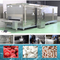 Continuous Tunnel French Fries Seafood Freezer Arc Welding