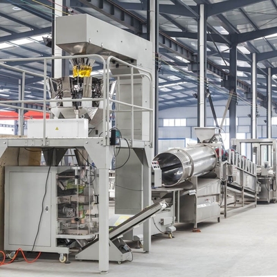 Stainless Steel Frozen Fries Production Line for Increased Efficiency